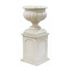 Conjunto vaso e base